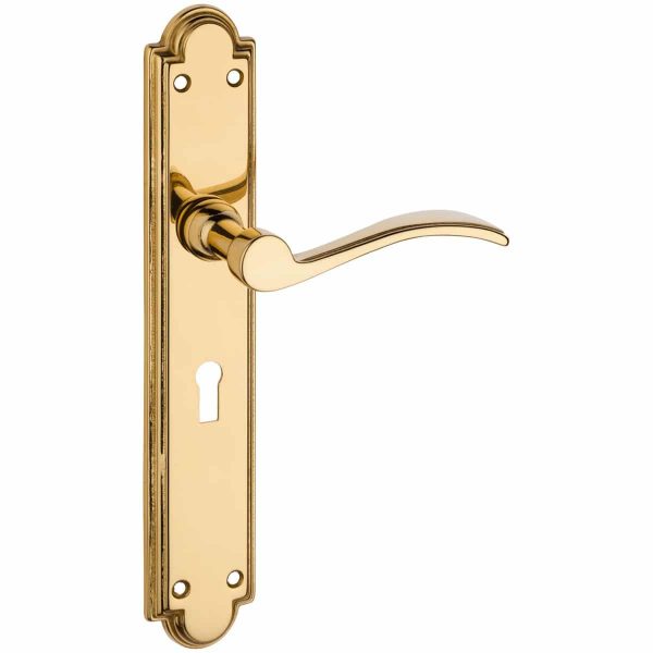 polished brass lever handle on backplate handles inc