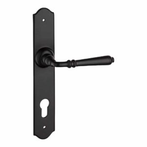 black lever handle on backplate handles inc