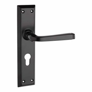 black lever handle on backplate handles inc